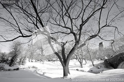 Image of Central Park, New York. Beautiful park in beautiful city. 