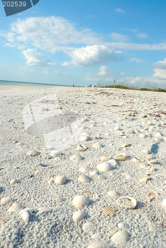 Image of Beach at Lovers Key Florida USA
