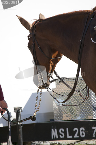 Image of Horseback Riding.