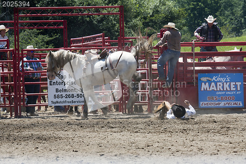 Image of Rodeo