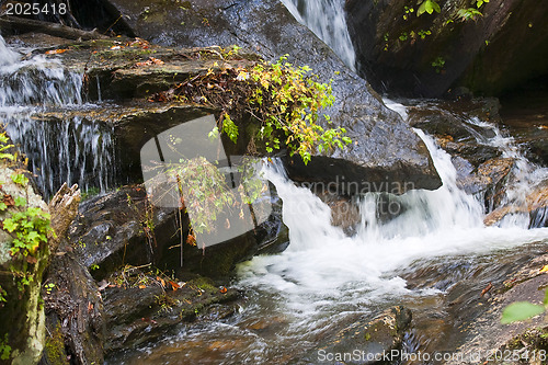 Image of Forest waterfall in Helen Georgia.