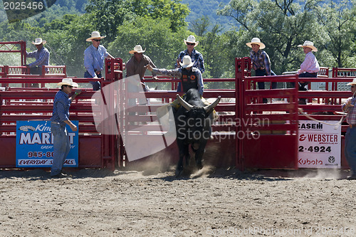 Image of Rodeo