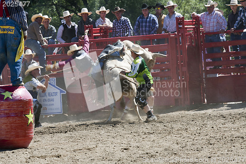 Image of Rodeo