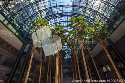 Image of World Financial Center Winter Garden Atrium - Manhattan, New Yor