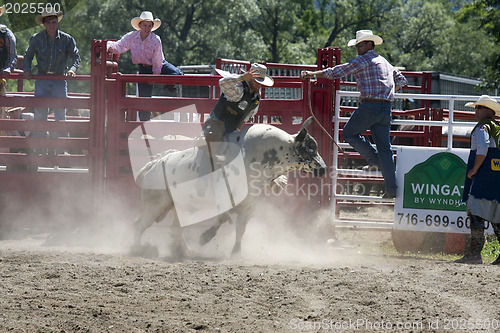 Image of Rodeo