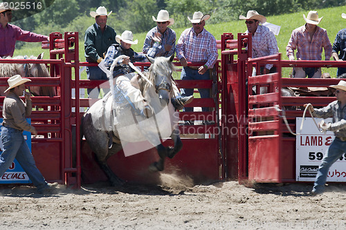 Image of Rodeo