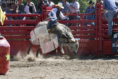 Image of Rodeo