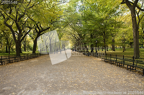 Image of  Center Park NY . Beautiful park in beautiful