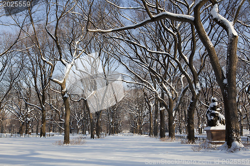 Image of Central Park, New York. Beautiful park in beautiful city. 