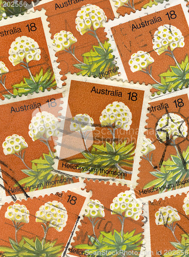 Image of floral stamps