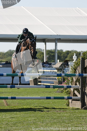 Image of show jumping 