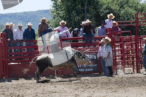 Image of Rodeo