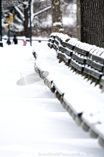 Image of Snow covered benches in Central Park