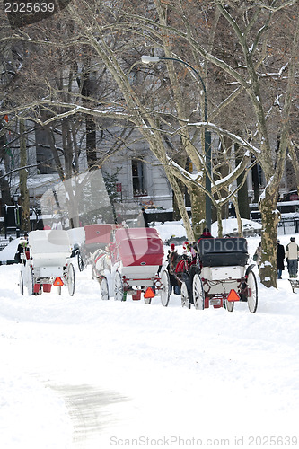 Image of Horse Carriages