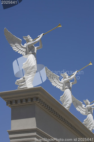 Image of Angel trumpeter 