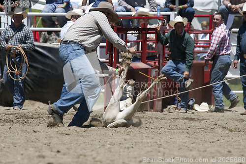 Image of Rodeo