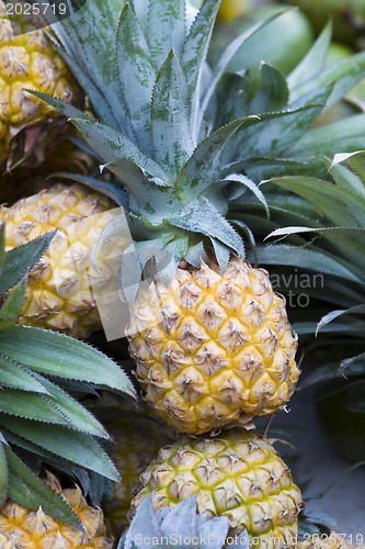 Image of Pineapple on sale