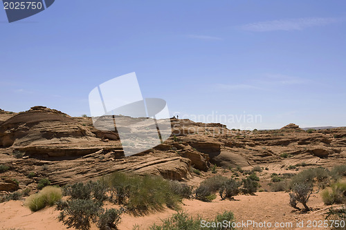 Image of Desert 