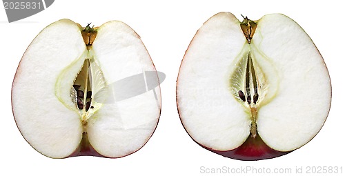 Image of Slised Apple