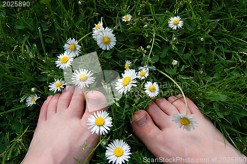 Image of Two bare feet among daisies, clover and grass