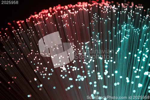 Image of Plastic optical fibers