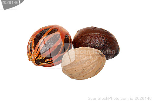 Image of Three whole nutmegs - covered in mace, in case and seed