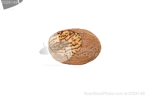 Image of Whole nutmeg showing a grated face