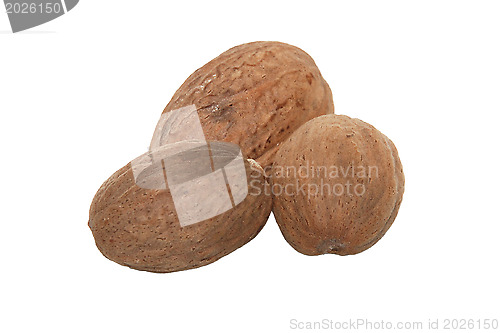 Image of Three whole nutmeg
