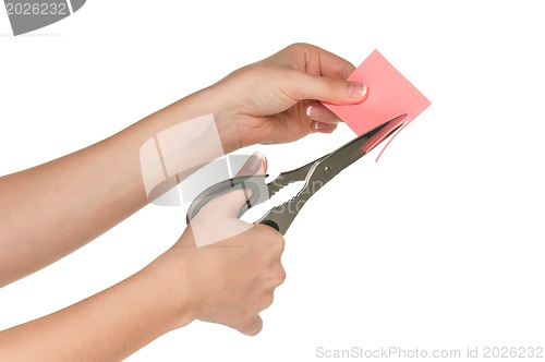 Image of Hand with scissors