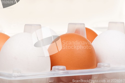 Image of Eggs in box