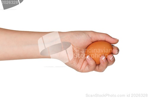 Image of Hand with egg