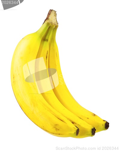 Image of Ripe bananas