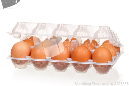 Image of Eggs in box