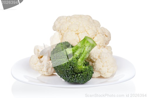 Image of Fresh cabbage