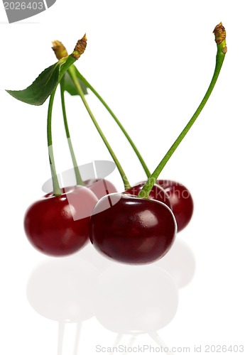 Image of Sweet cherries