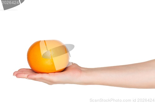 Image of Hand with grapefruit