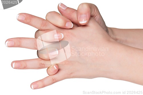 Image of Woman hands