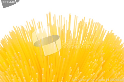 Image of Spaghetti