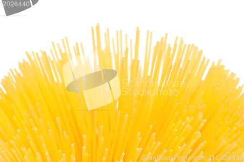 Image of Spaghetti