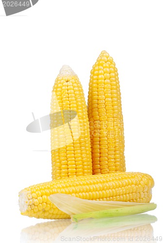 Image of Fresh corn