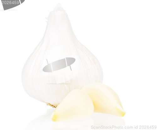 Image of Fresh garlic