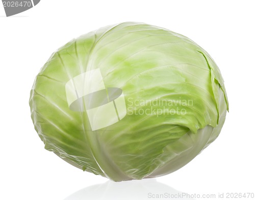 Image of Fresh cabbage