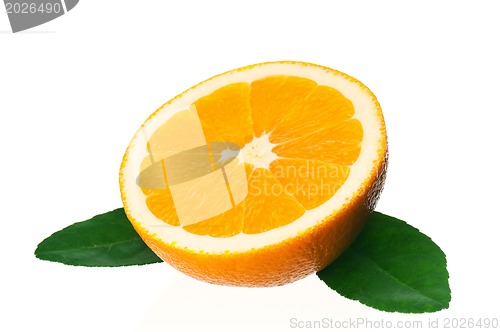 Image of Ripe orange