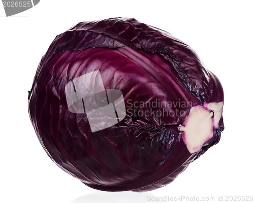 Image of Fresh cabbage