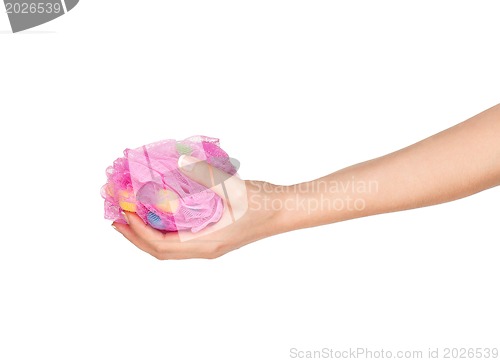 Image of Hand with bath sponge
