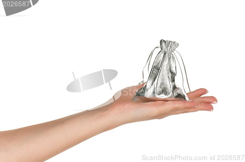 Image of Hand with money bag