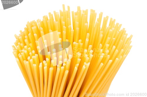 Image of Spaghetti