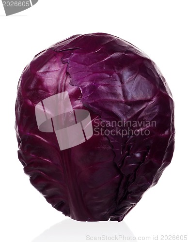 Image of Fresh cabbage