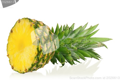 Image of Pineapple