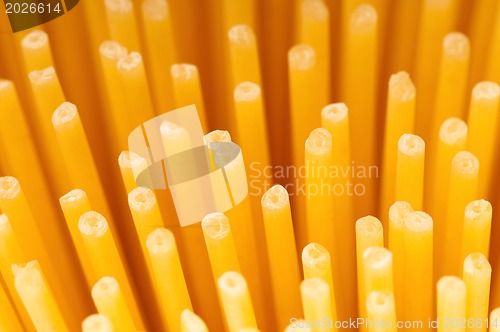 Image of Spaghetti